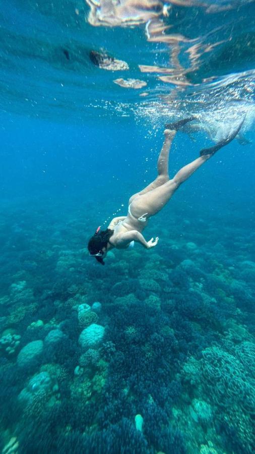 Tipsea Turtle Gili Air Hotel Eksteriør billede