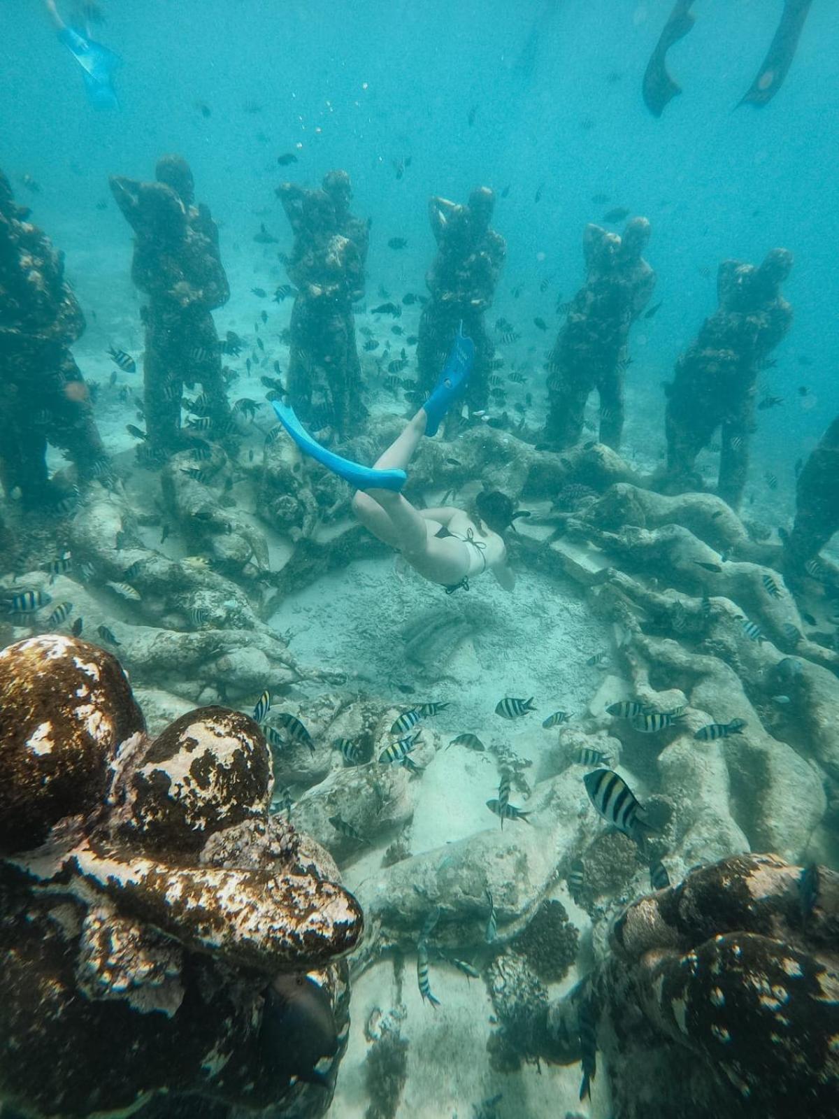 Tipsea Turtle Gili Air Hotel Eksteriør billede